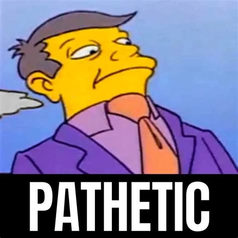 The character in the <strong>meme</strong> is Principal Skinner from the Simpsons tv show, and he is looking down upon something that is off screen. . Pathetic meme